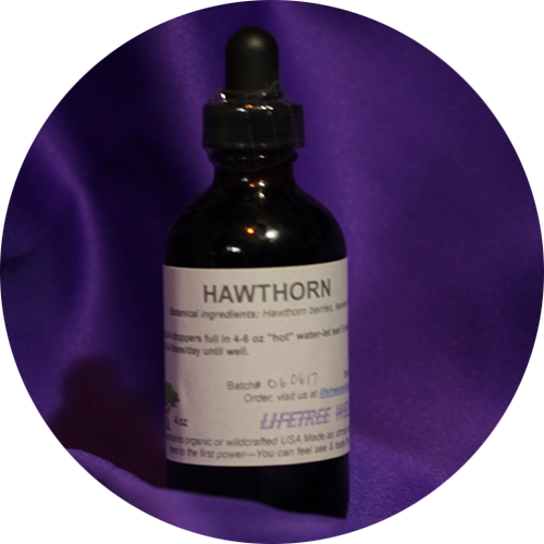 Hawthorn Tincture  [4 oz.]