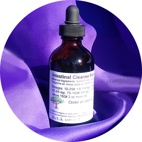 #3 Intestinal Cleanse Formula Tincture (ICF #3)