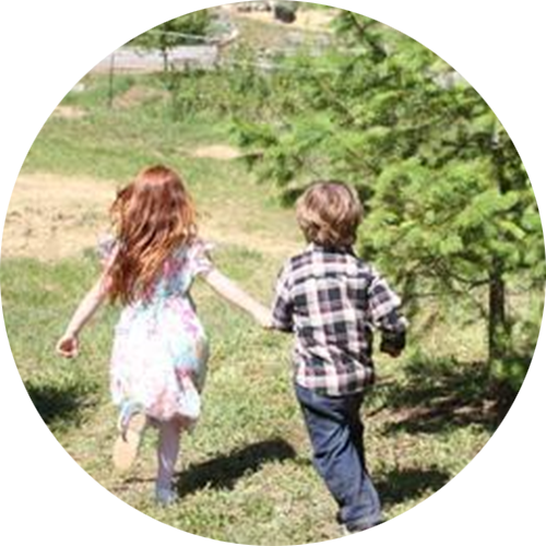 Donation to LifeTree Wellness