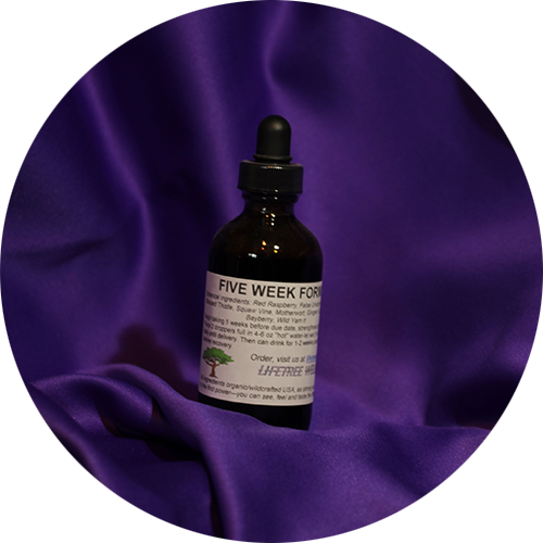 Five Week Formula Tincture  [4 oz.]