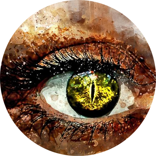 FulvAlife Eye Drop [2 oz.]