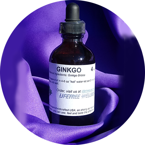 Ginkgo [4 oz.]