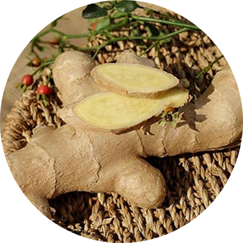 Male Formula - Dry [6 oz.] - out of stock
