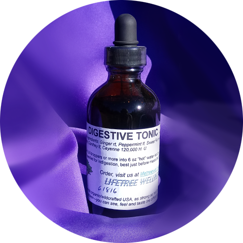 Digestive Tonic Tincture [4 oz.]
