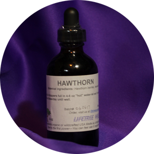 Hawthorn Tincture  [4 oz.]