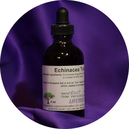 Echinacea Tincture