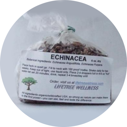 Echinacea Herb - Dry (6 oz)
