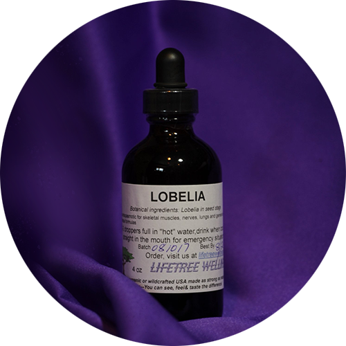 Lobelia Tincture